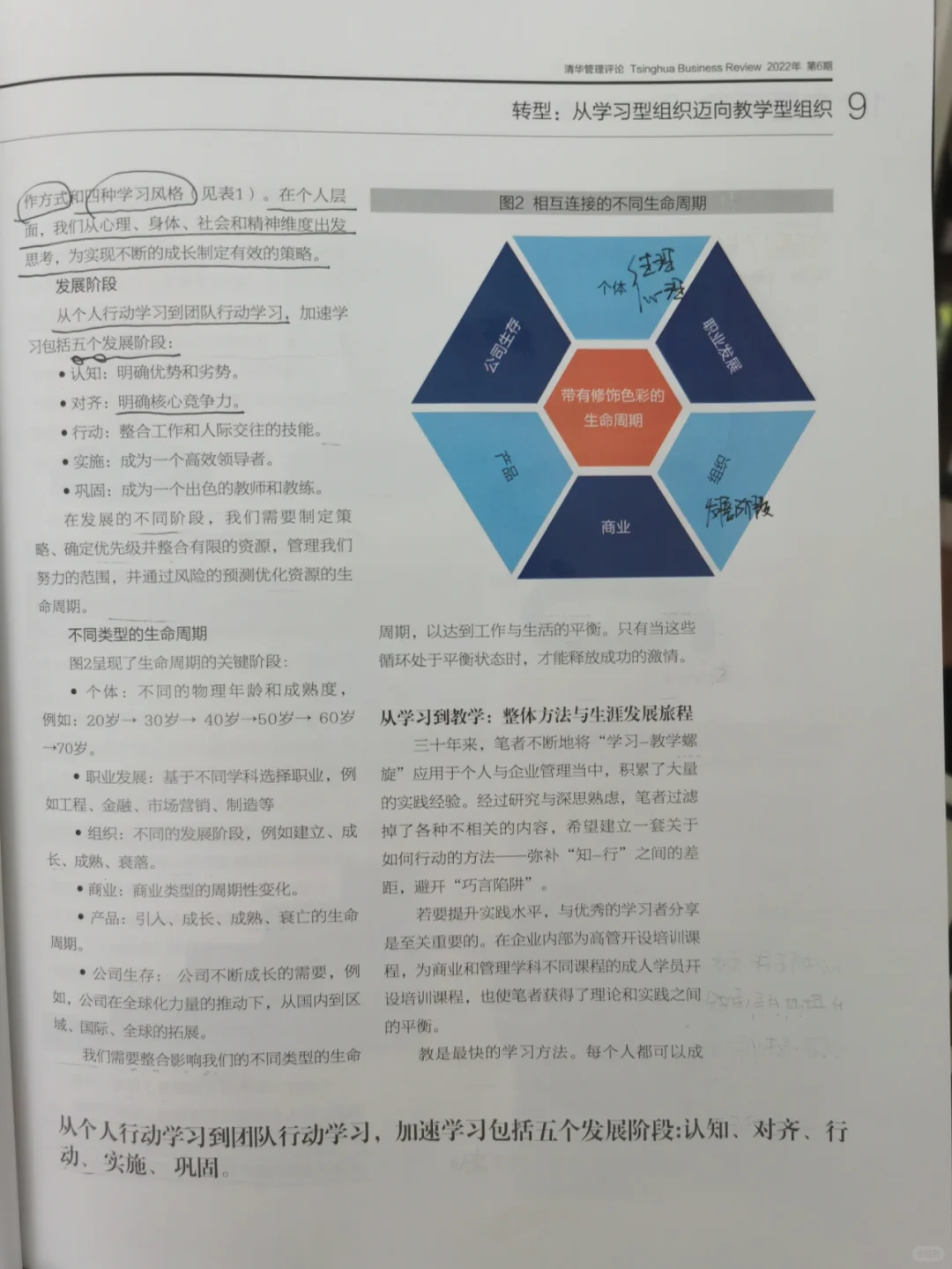 清华管理评论